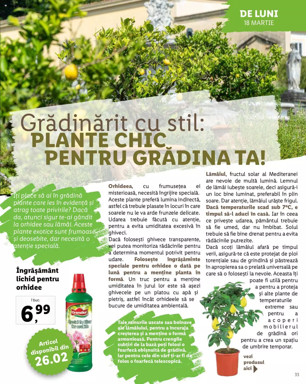 Catalog LIDL 26 Februarie - 7 Aprilie 2024 | Pagina 33