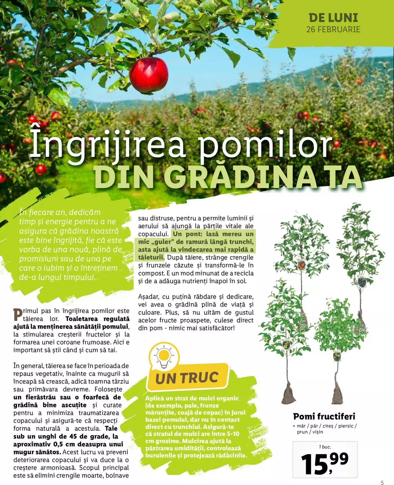 Catalog LIDL 26 Februarie - 7 Aprilie 2024 | Pagina 5