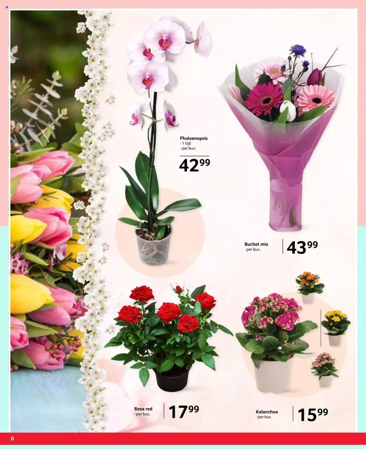 Catalog Selgros 23 Februarie - 8 Martie 2024 | Pagina 6