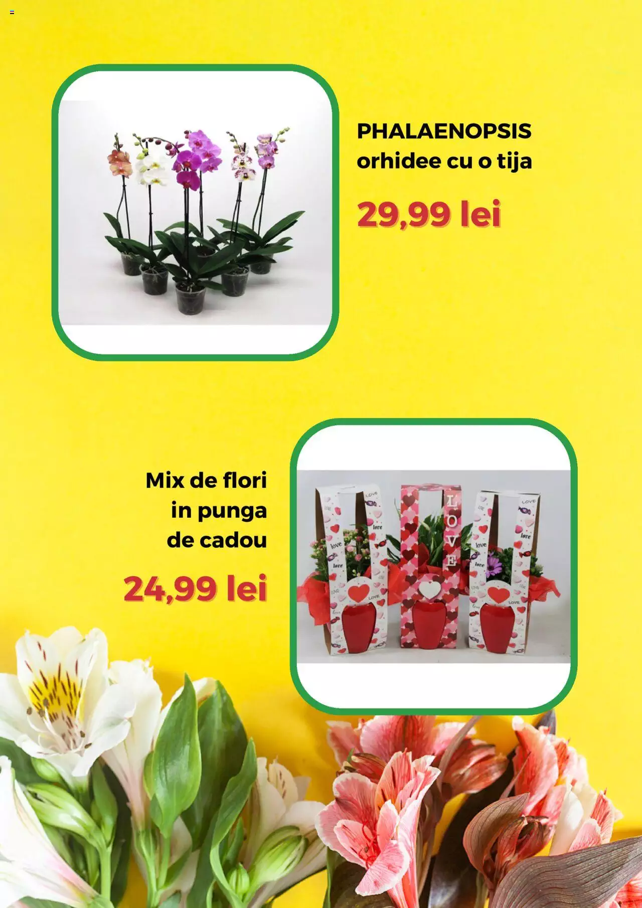 Catalog Remarkt 1 - 31 Martie 2024 | Pagina 6
