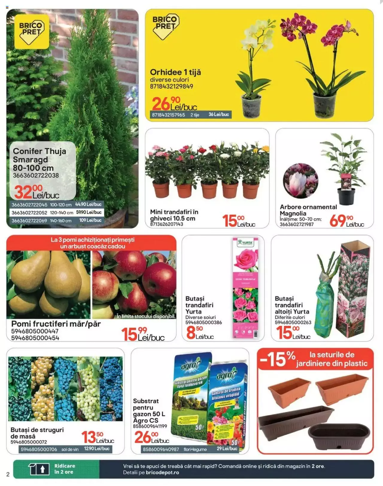 Catalog Brico Depot 7 Martie - 2 Aprilie 2024 | Pagina 2