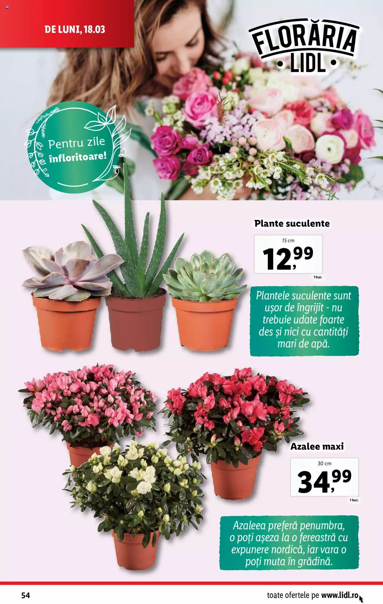 Catalog LIDL 18 - 24 Martie 2024 | Pagina 54