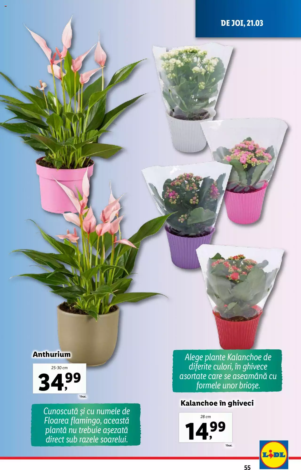 Catalog LIDL 18 - 24 Martie 2024 | Pagina 55