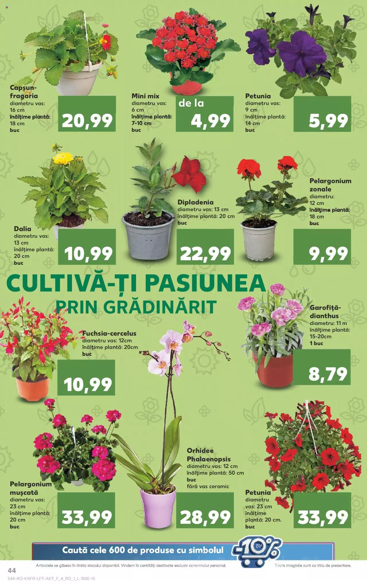 Catalog Kaufland 8 - 14 Mai 2024 | Pagina 44