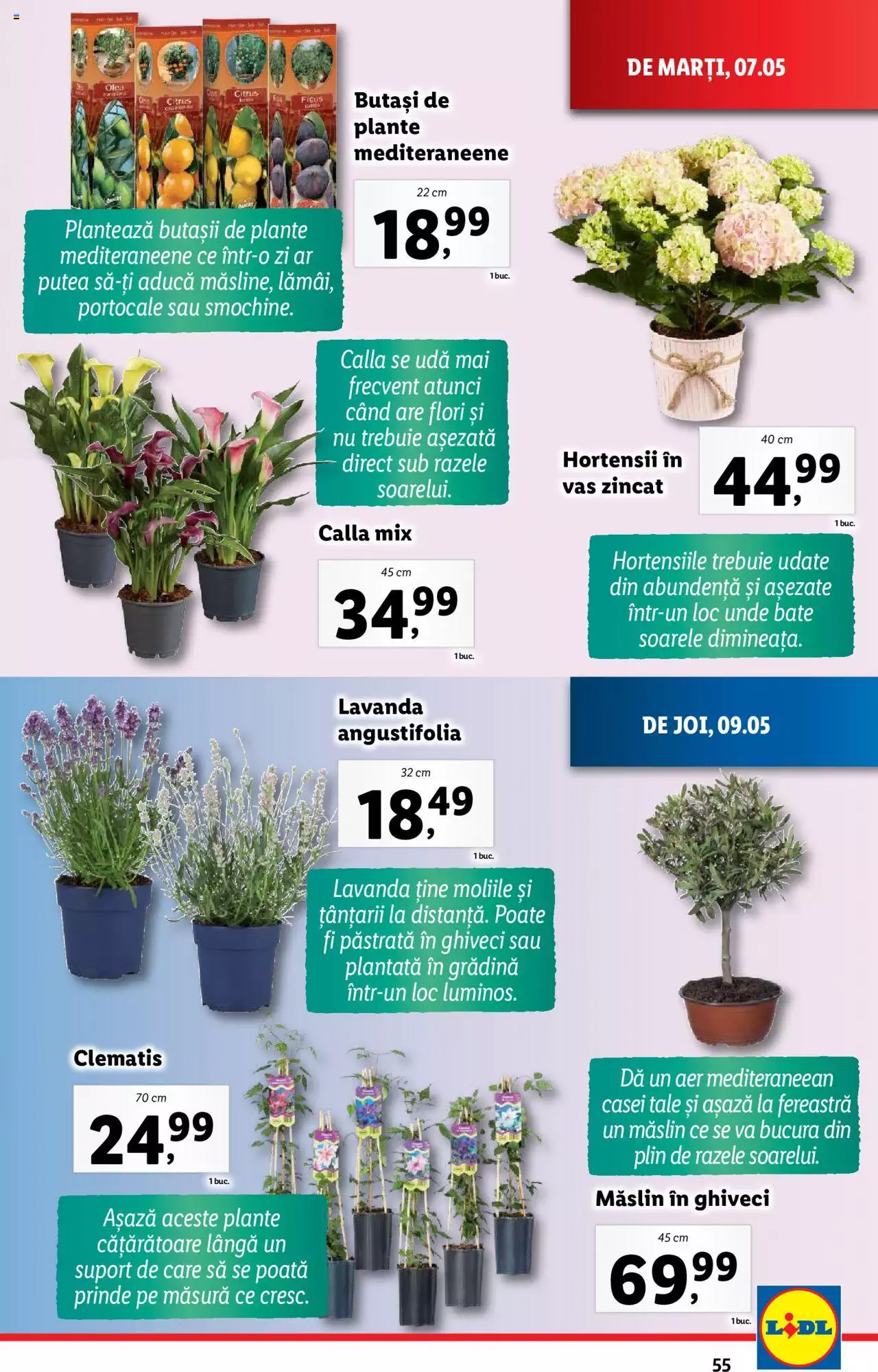 Catalog LIDL 7 - 12 Mai 2024 | Pagina 55
