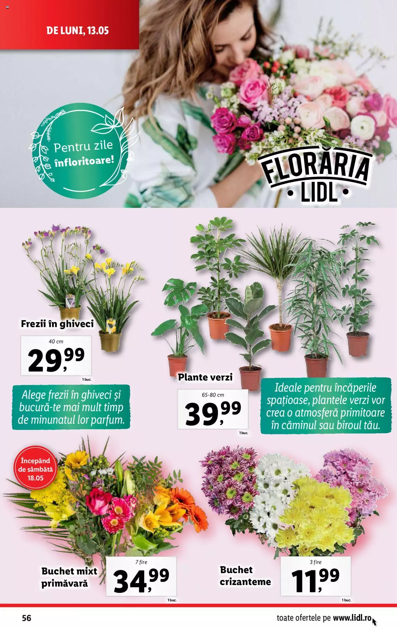 Catalog LIDL 13 - 19 Mai 2024 | Pagina 56