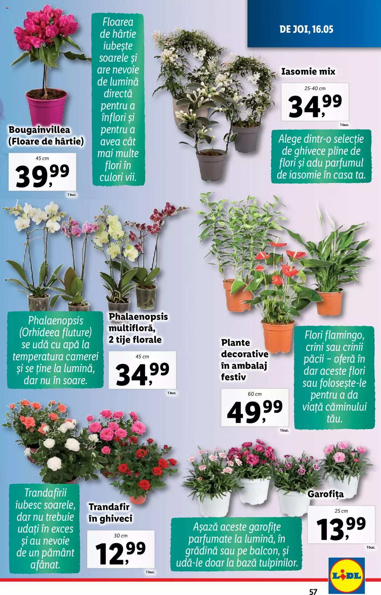 Catalog LIDL 13 - 19 Mai 2024 | Pagina 57