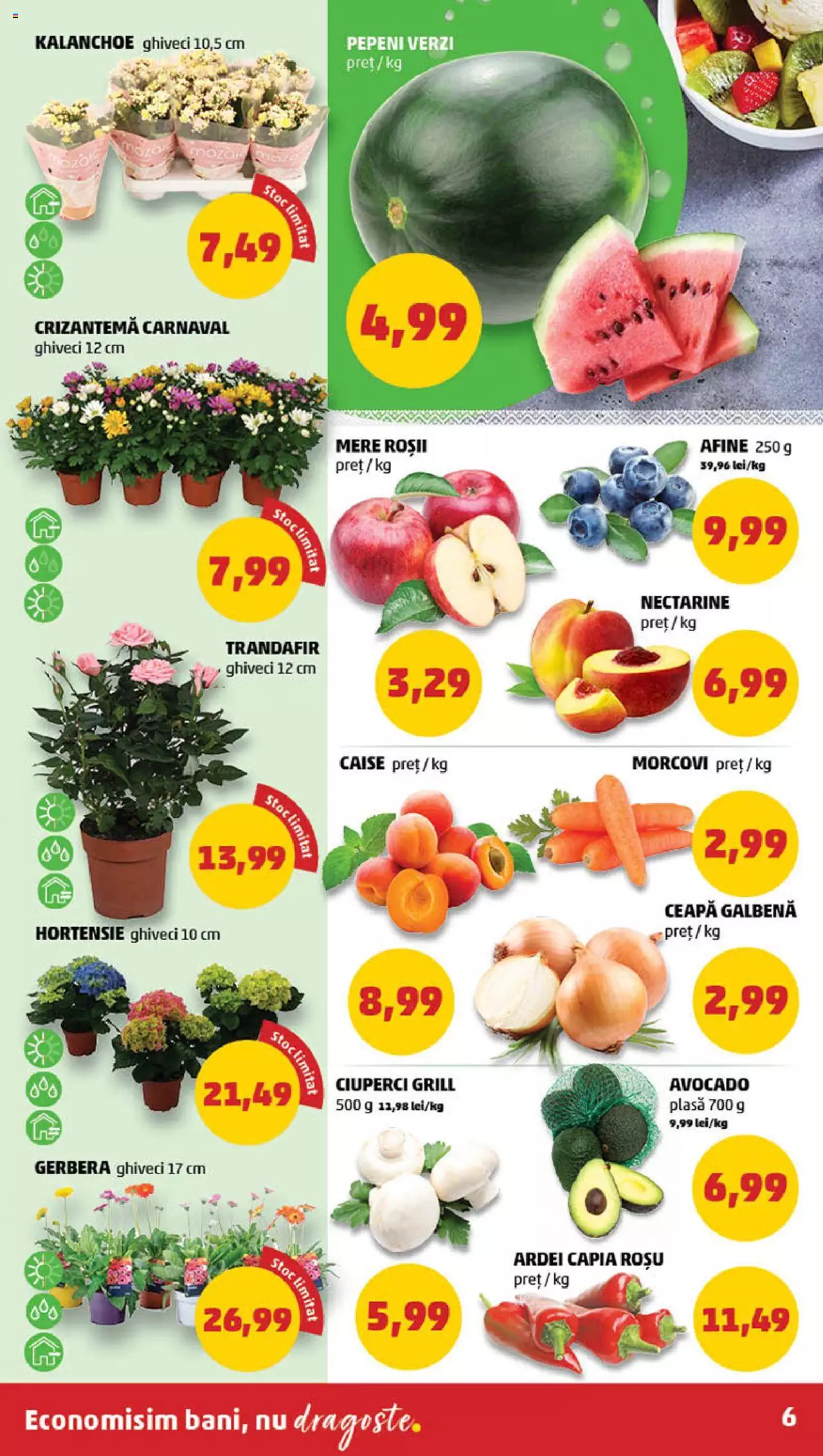 Catalog PENNY Market 15 - 21 Mai 2024 | Pagina 6