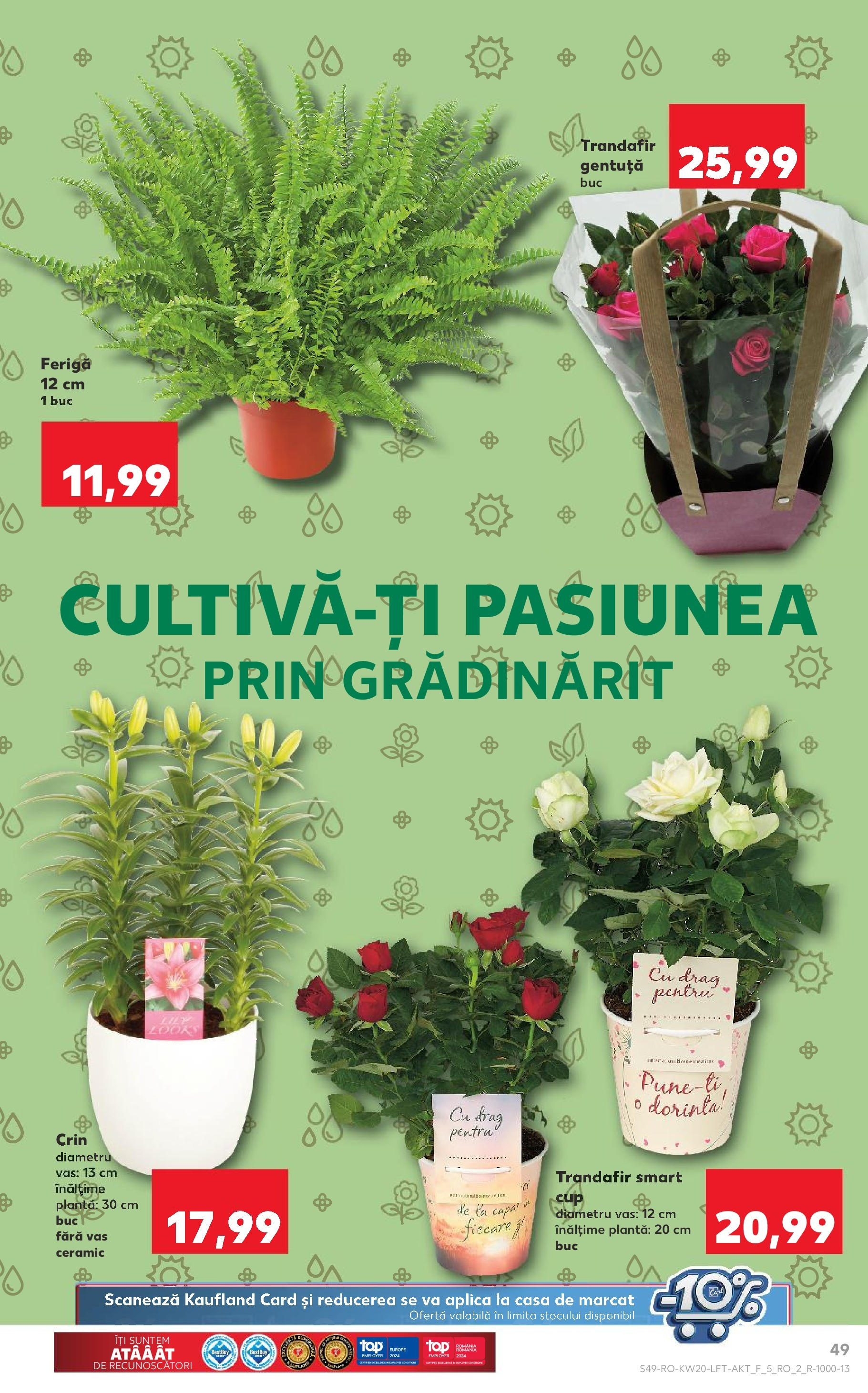 Catalog Kaufland 15 - 21 Mai 2024 | Pagina 49