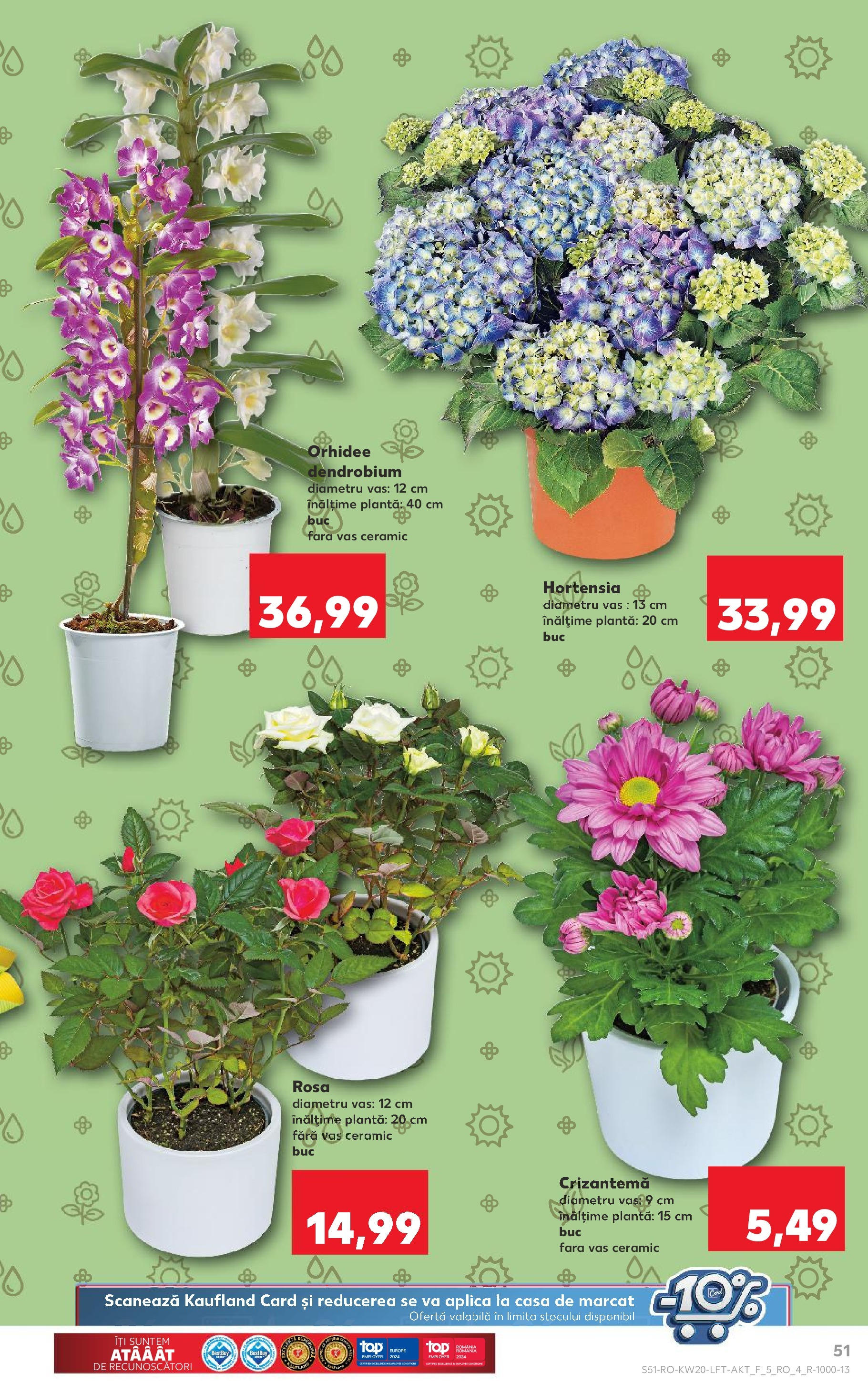 Catalog Kaufland 15 - 21 Mai 2024 | Pagina 51