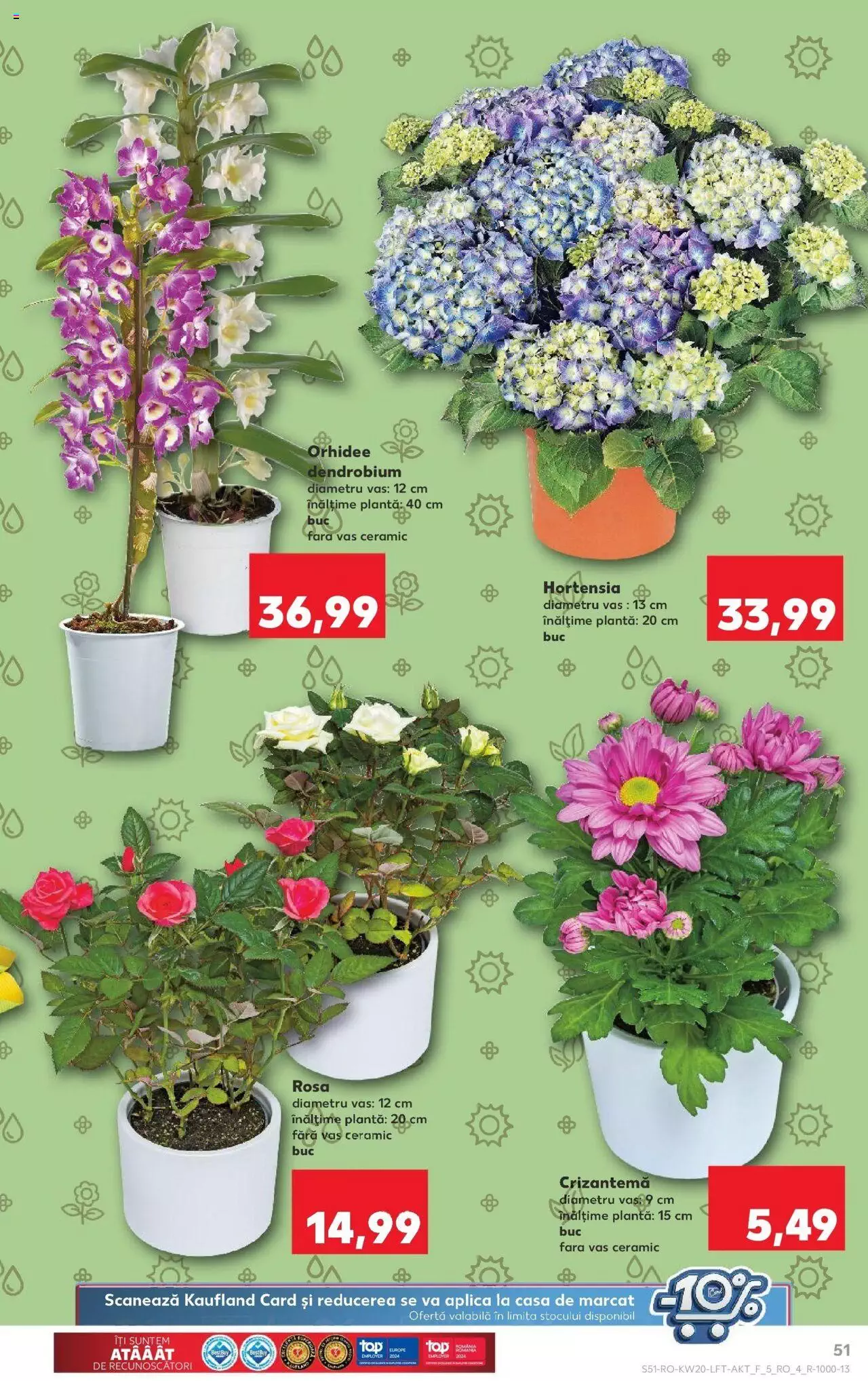 Catalog Kaufland 15 - 21 Mai 2024 | Pagina 51