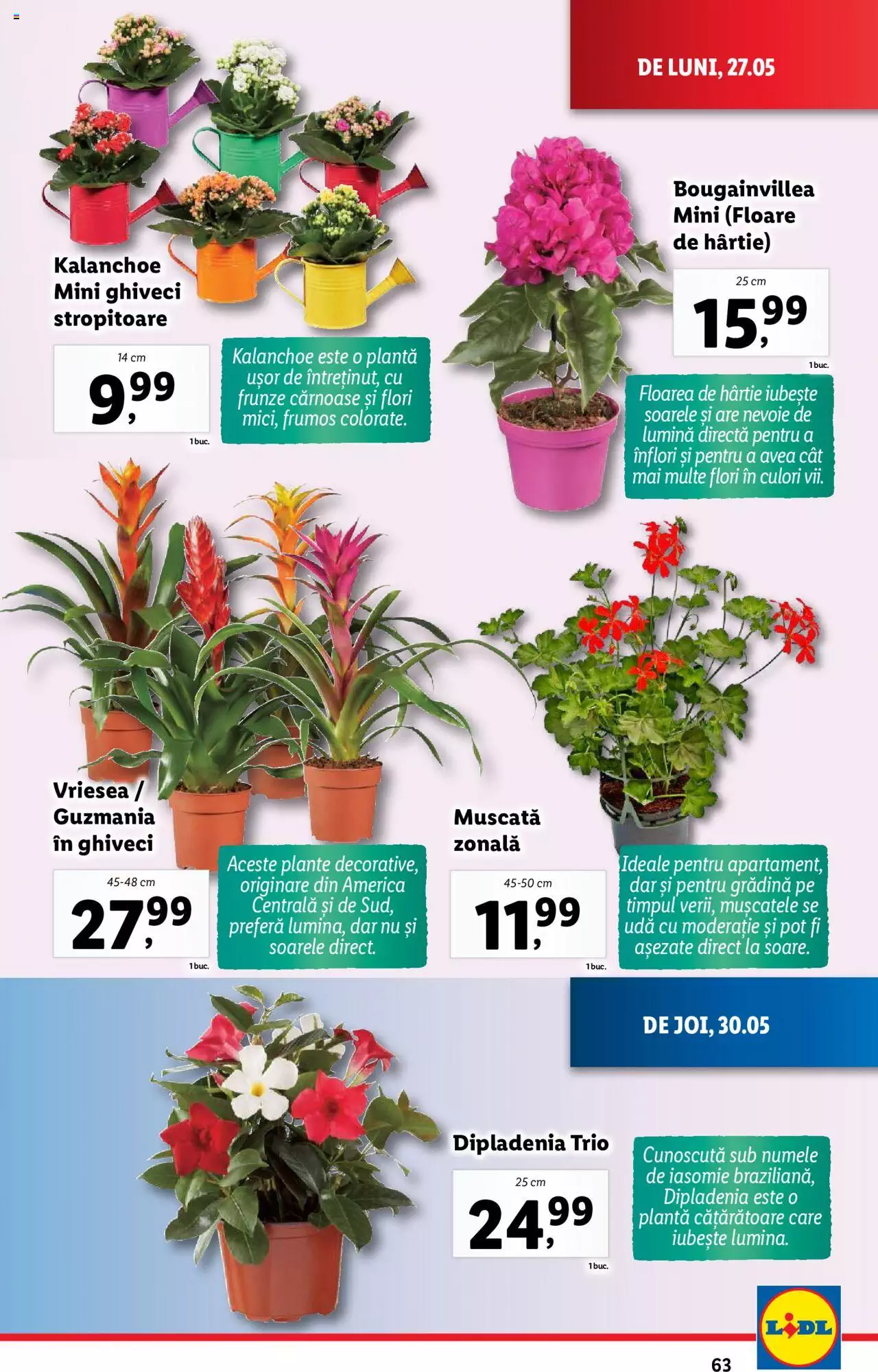 Catalog LIDL 27 Mai - 2 Iunie 2024 | Pagina 63