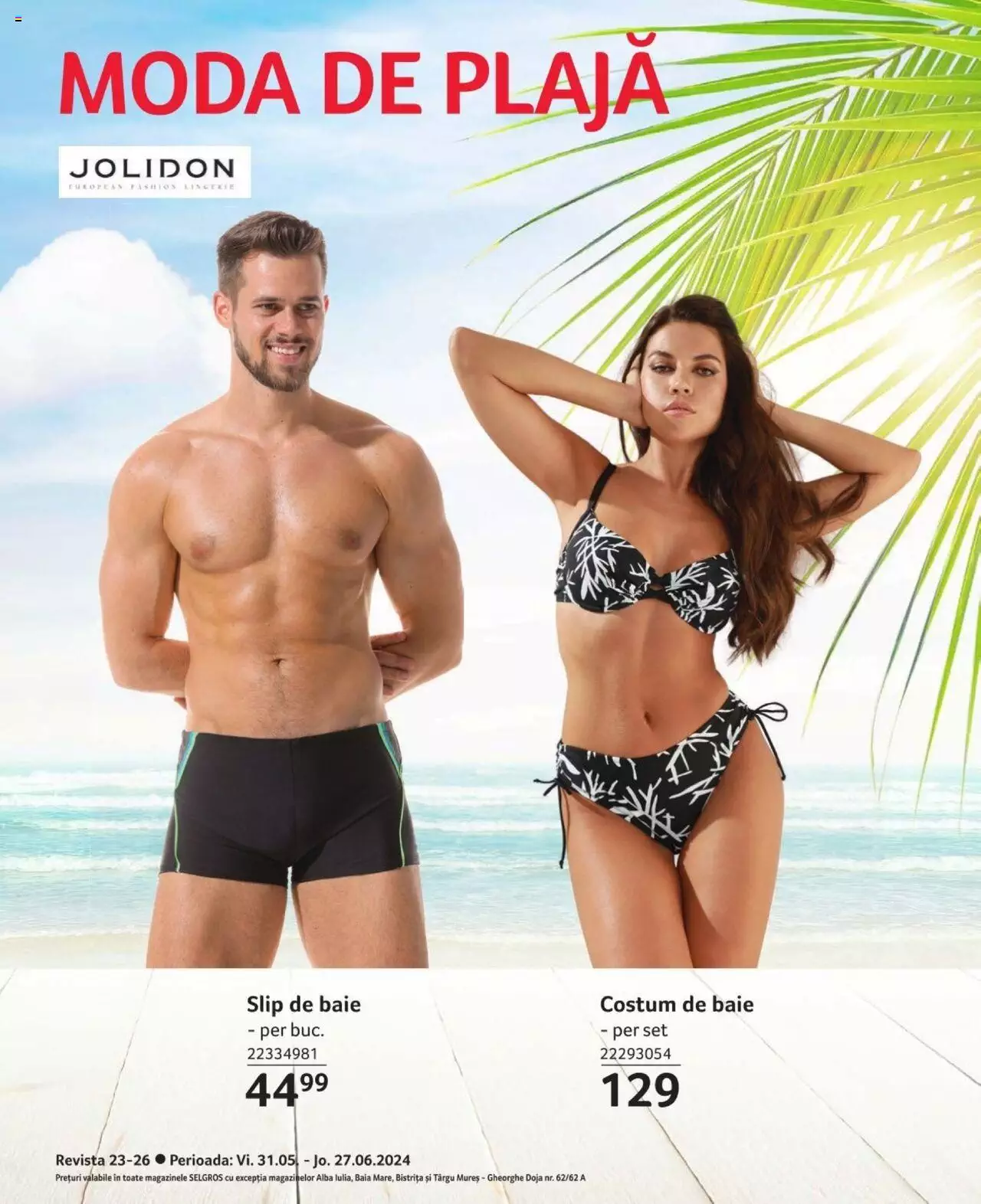 Catalog Selgros 31 Mai - 27 Iunie 2024 | Pagina 41