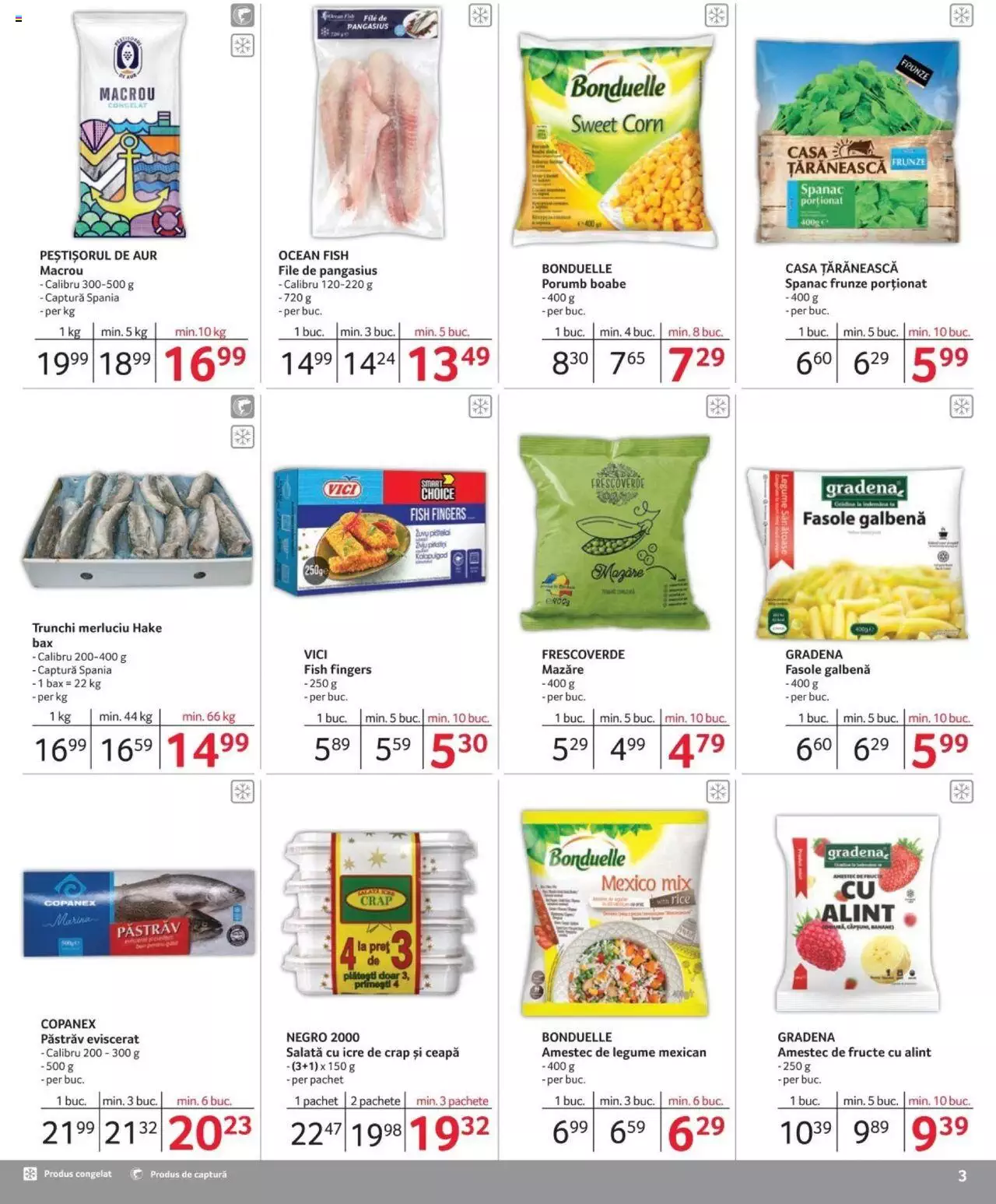 Catalog Selgros 1 - 30 Iunie 2024 | Pagina 3
