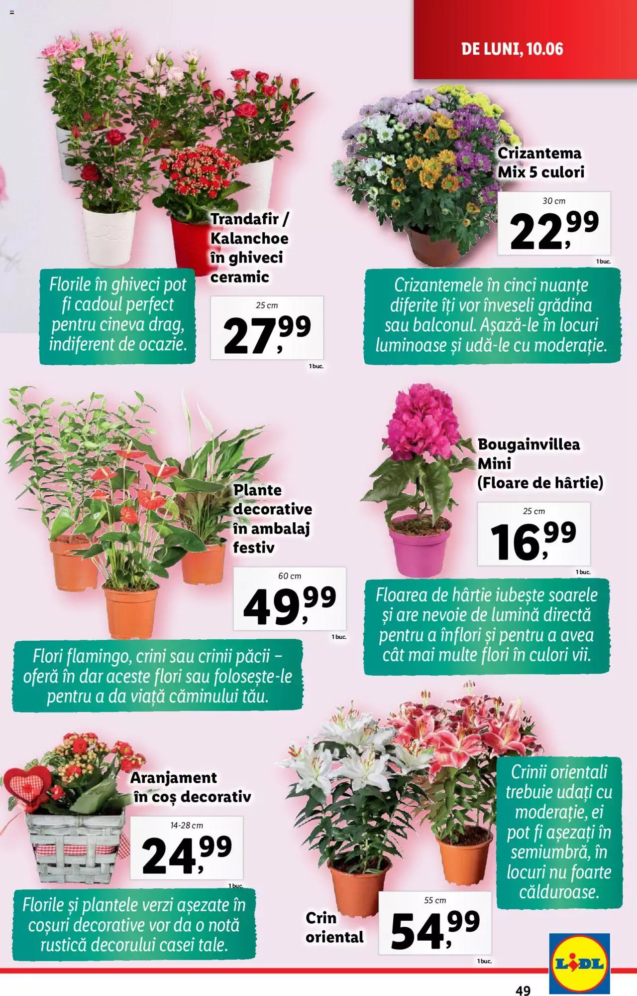 Catalog LIDL 10 - 16 Iunie 2024 | Pagina 49