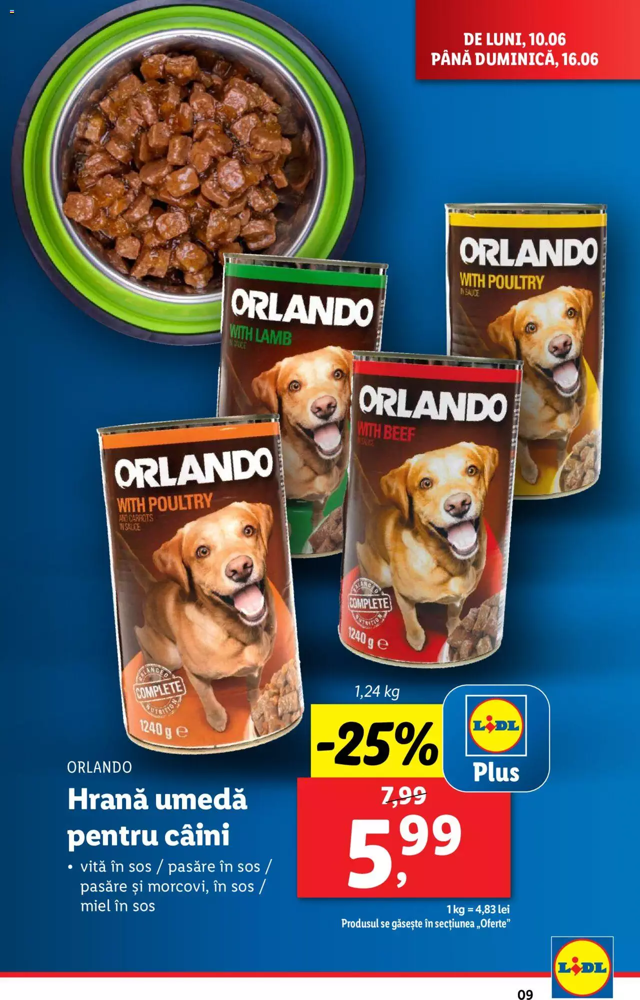 Catalog LIDL 10 - 16 Iunie 2024 | Pagina 9