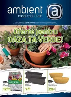 Catalog Ambient