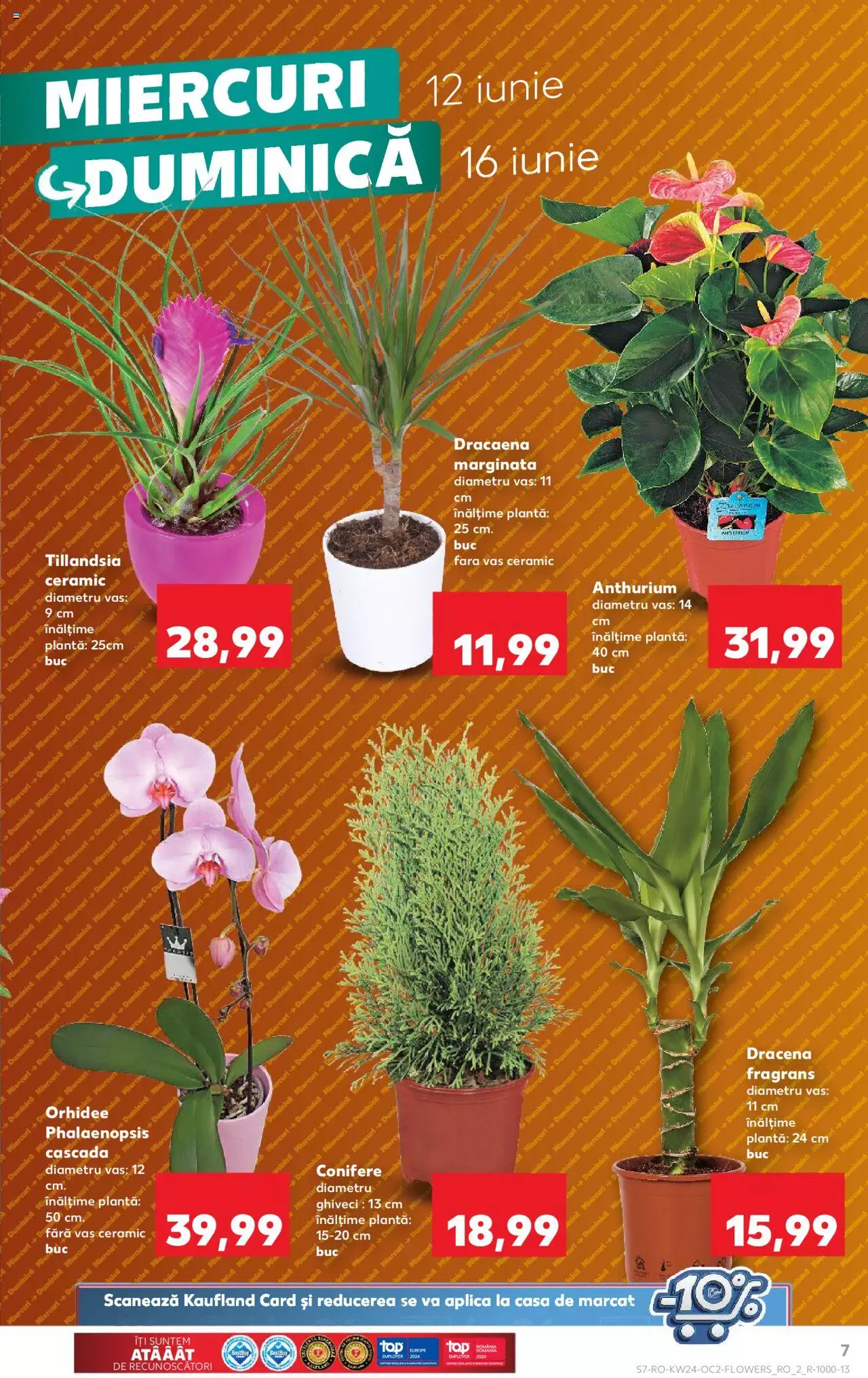 Catalog Kaufland 12 - 18 Iunie 2024 | Pagina 7