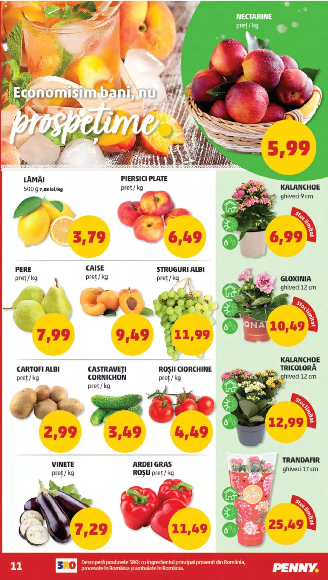 Catalog PENNY Market 12 - 18 Iunie 2024 | Pagina 11