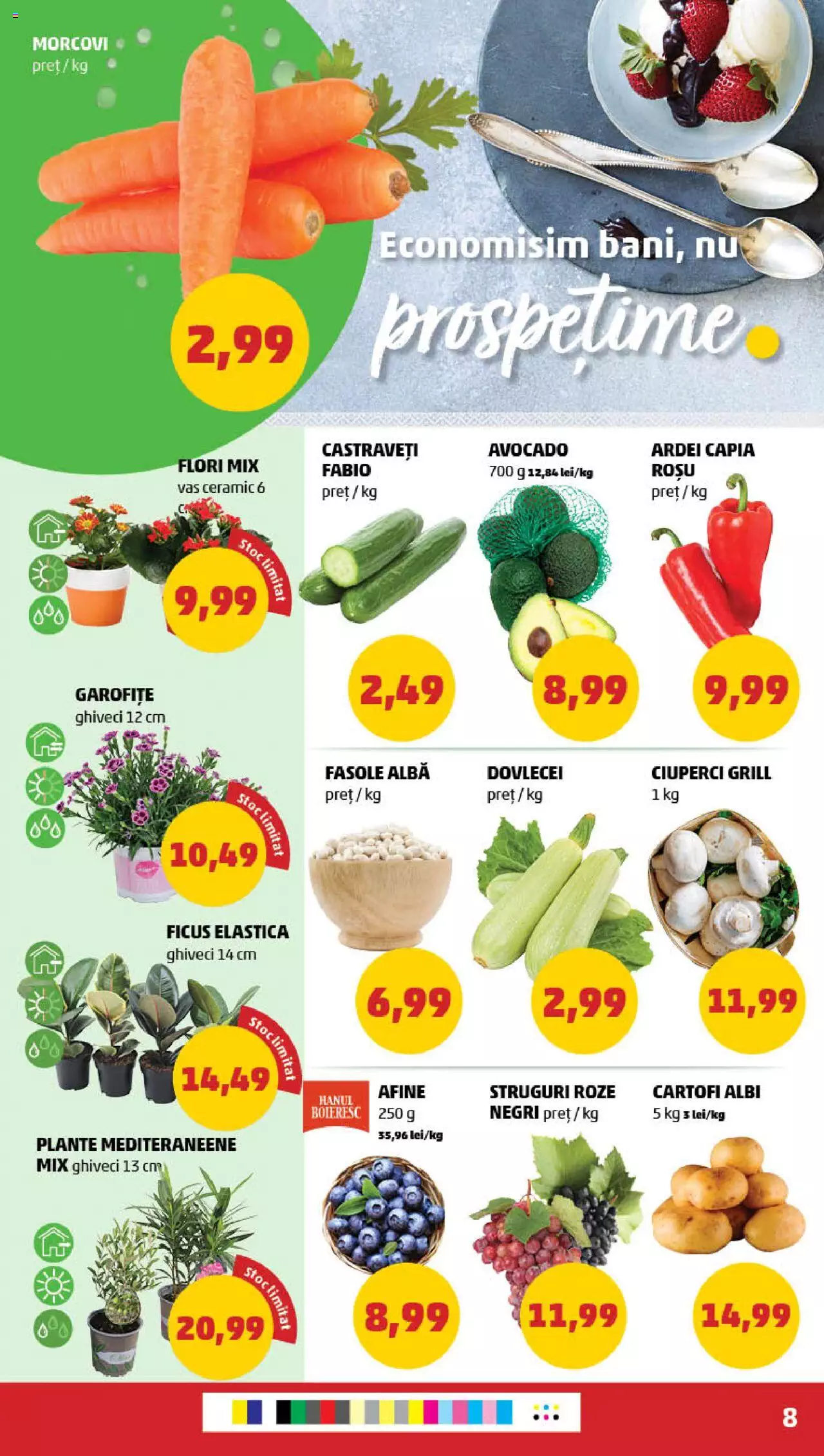 Catalog PENNY Market 19 - 25 Iunie 2024 | Pagina 8