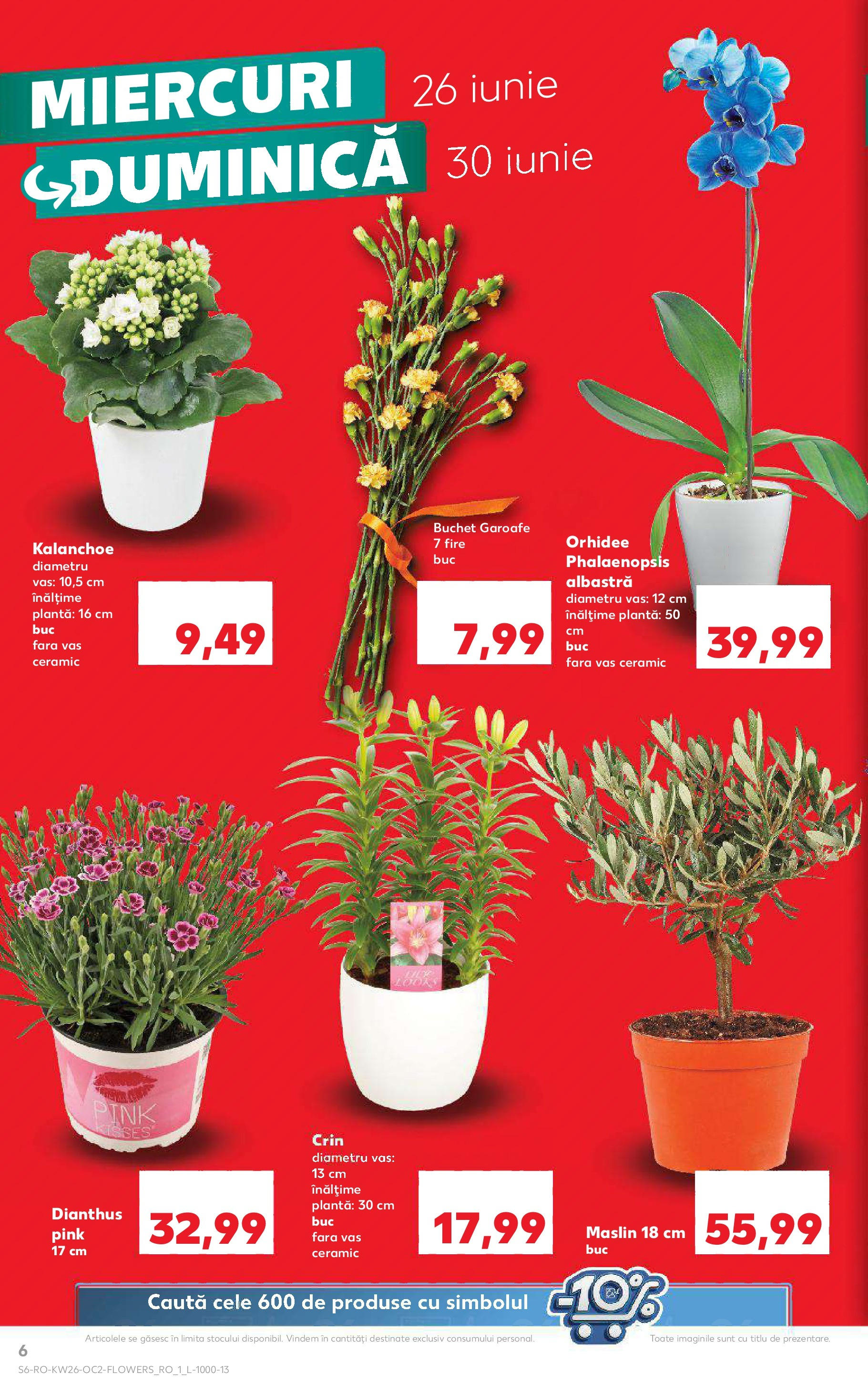 Catalog Kaufland 26 Iunie - 2 Iulie 2024 | Pagina 6