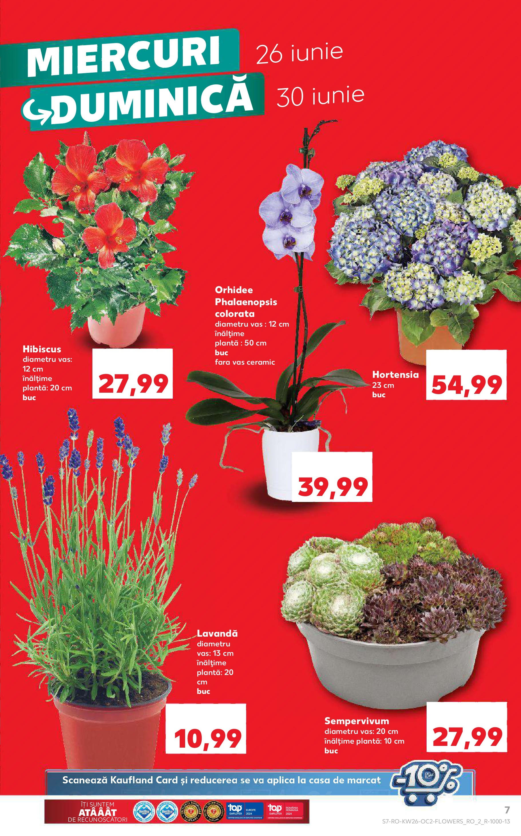 Catalog Kaufland 26 Iunie - 2 Iulie 2024 | Pagina 7