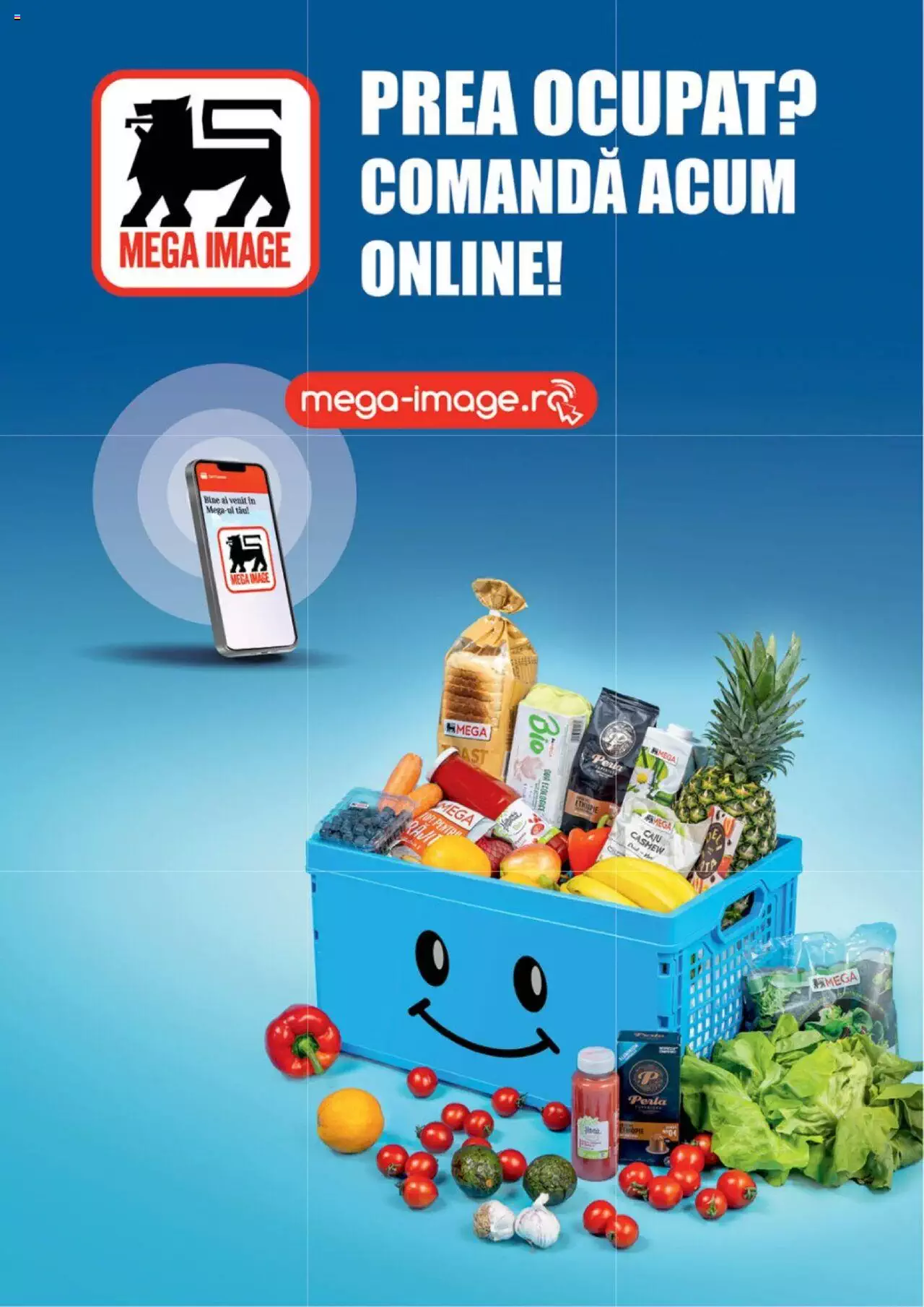 Catalog Mega Image 27 Iunie - 31 Iulie 2024 | Pagina 25