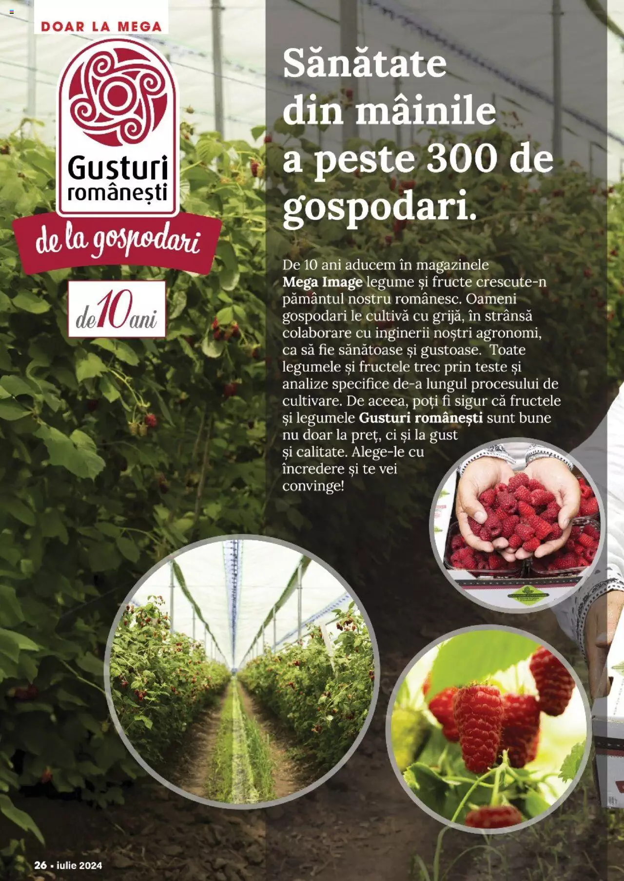 Catalog Mega Image 27 Iunie - 31 Iulie 2024 | Pagina 26