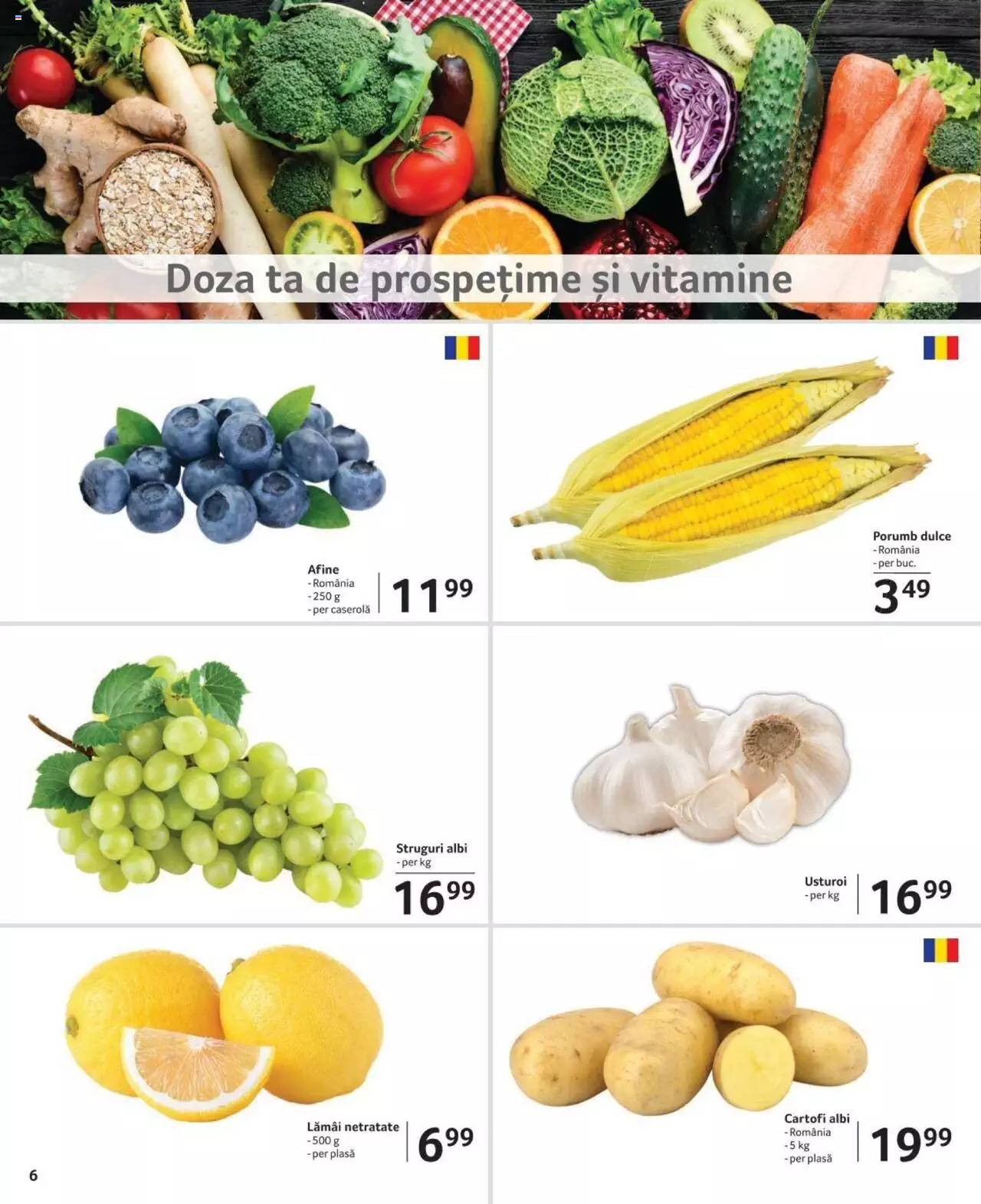 Catalog Selgros 28 Iunie - 11 Iulie 2024 | Pagina 6