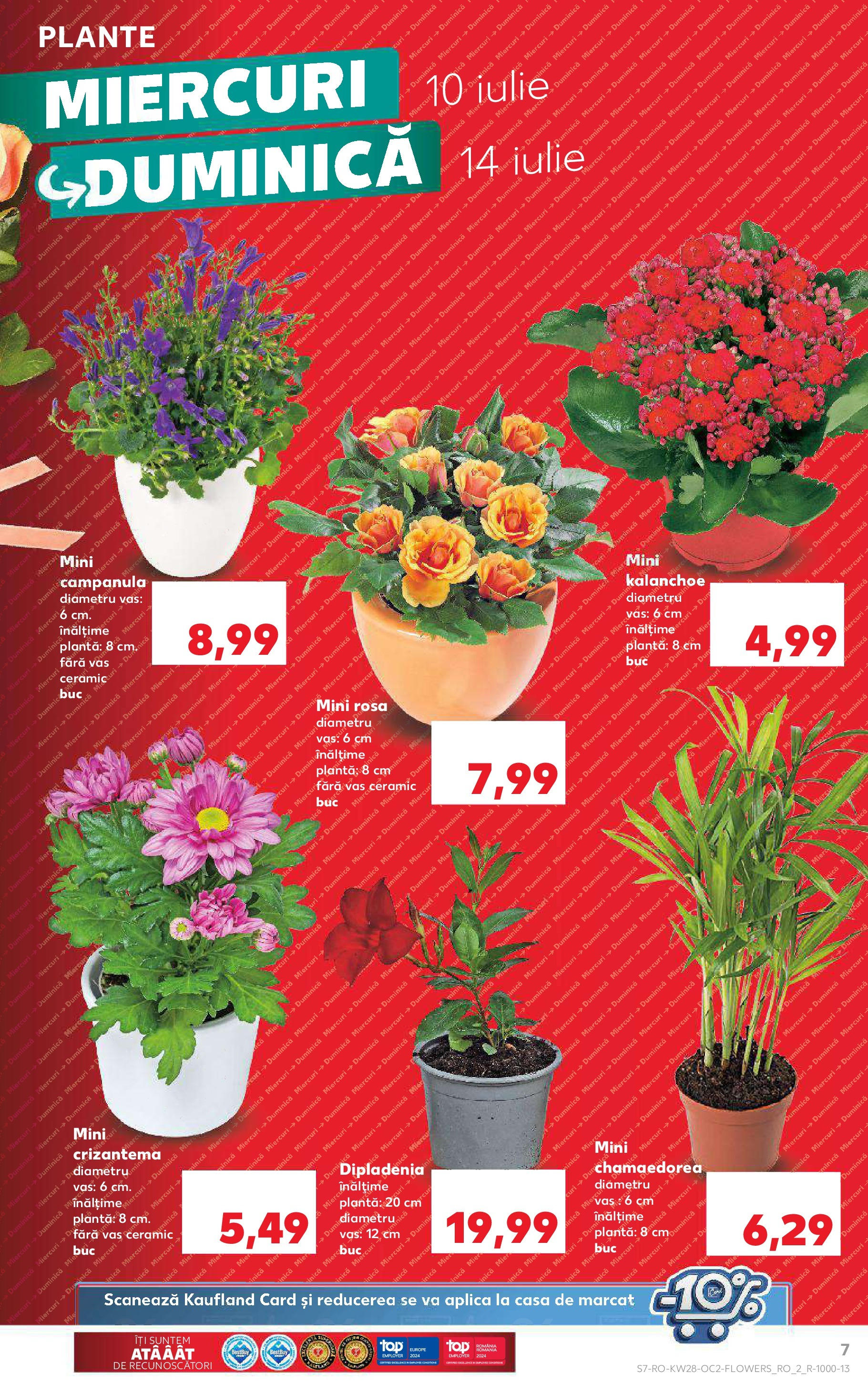 Catalog Kaufland 10 - 16 Iulie 2024 | Pagina 7