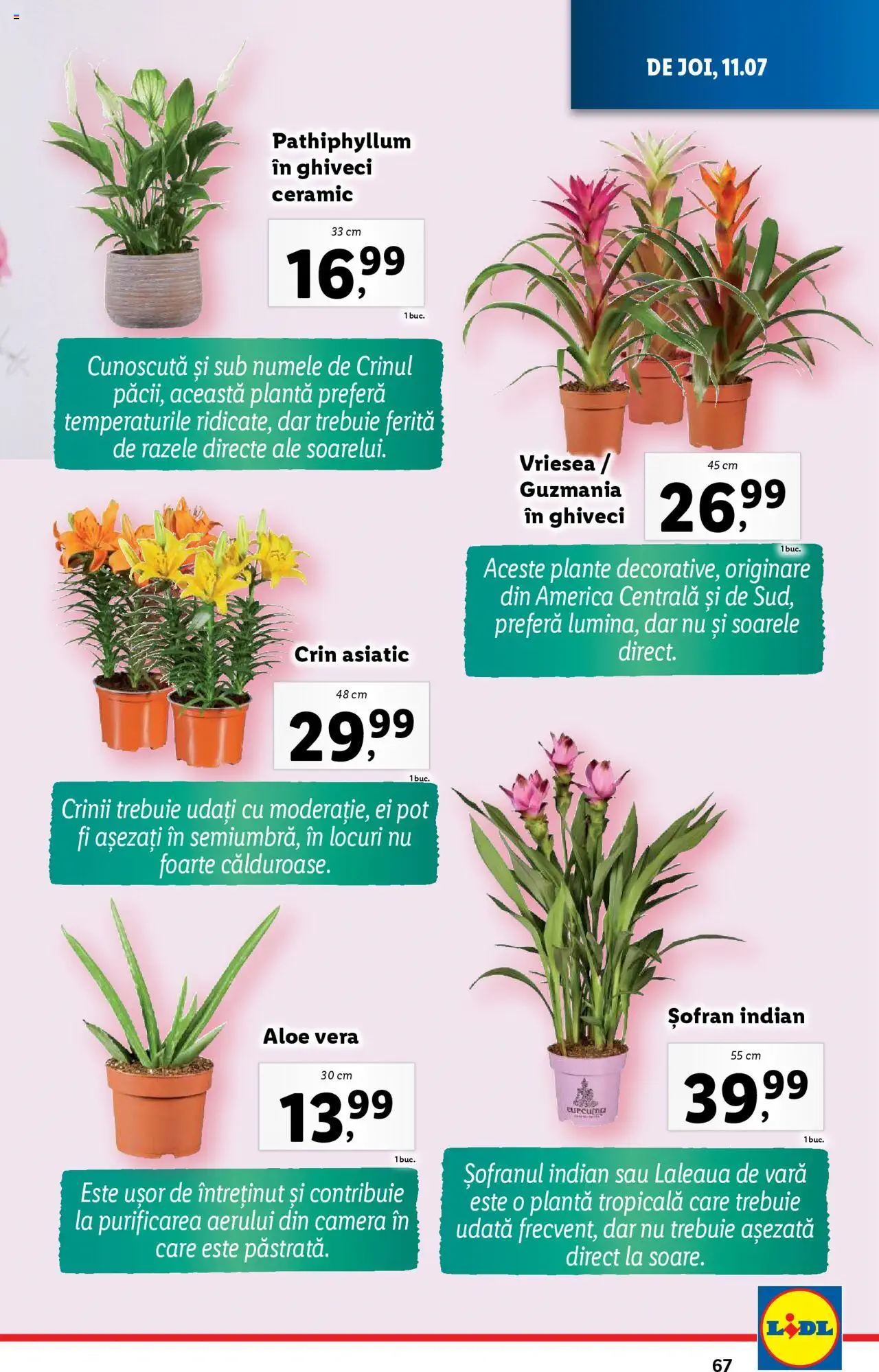 Catalog LIDL 8 - 14 Iulie 2024 | Pagina 67