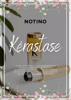 Catalog Notino