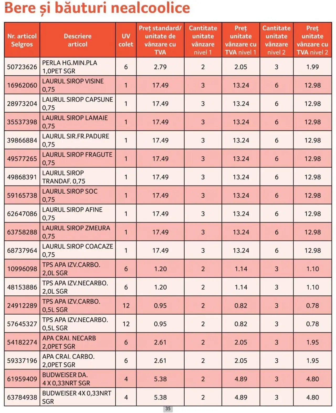 Catalog Selgros 1 - 31 Iulie 2024 | Pagina 35