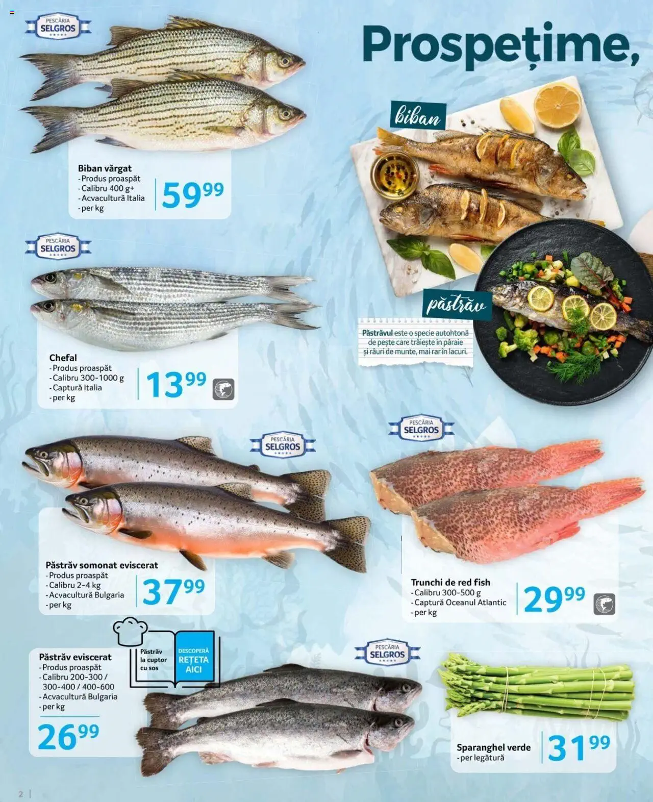 Catalog Selgros 9 - 22 August 2024 | Pagina 2