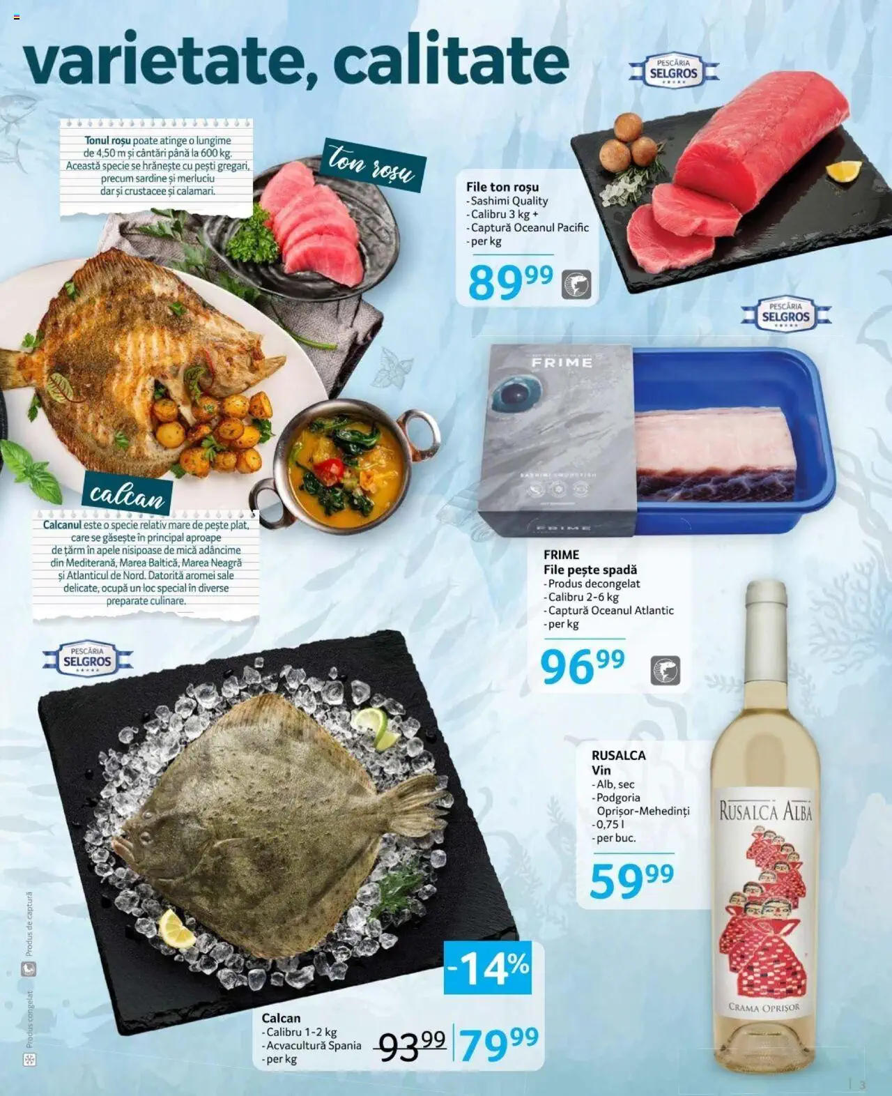 Catalog Selgros 9 - 22 August 2024 | Pagina 3