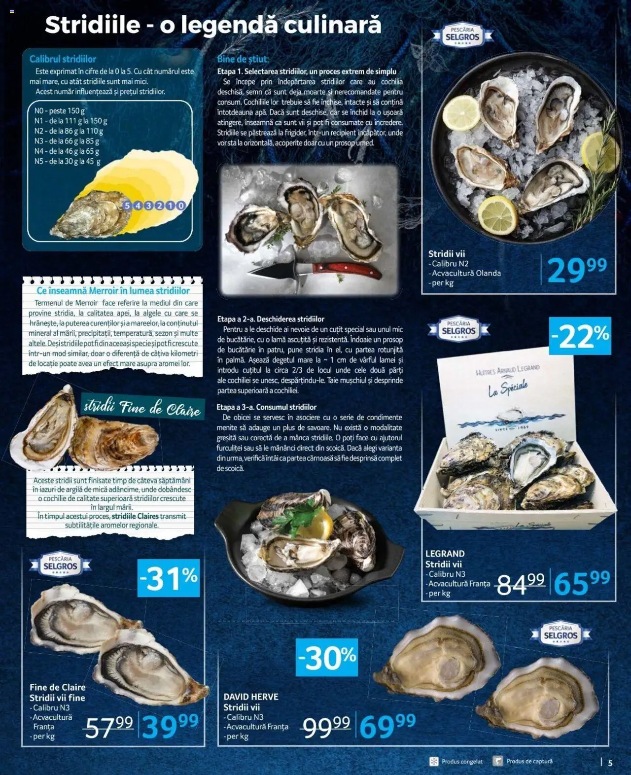 Catalog Selgros 9 - 22 August 2024 | Pagina 5