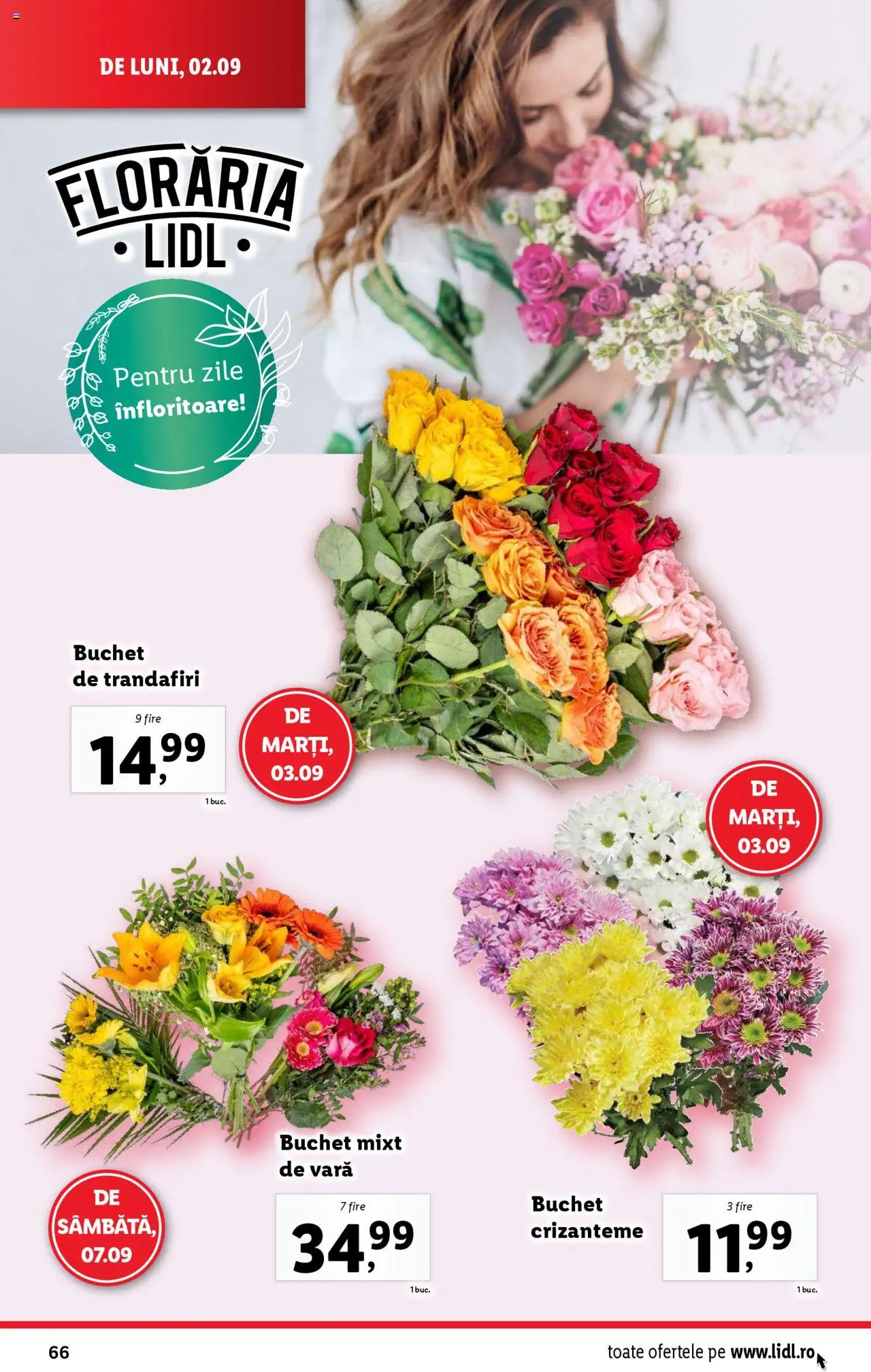Catalog LIDL 2 - 8 Septembrie 2024 | Pagina 66