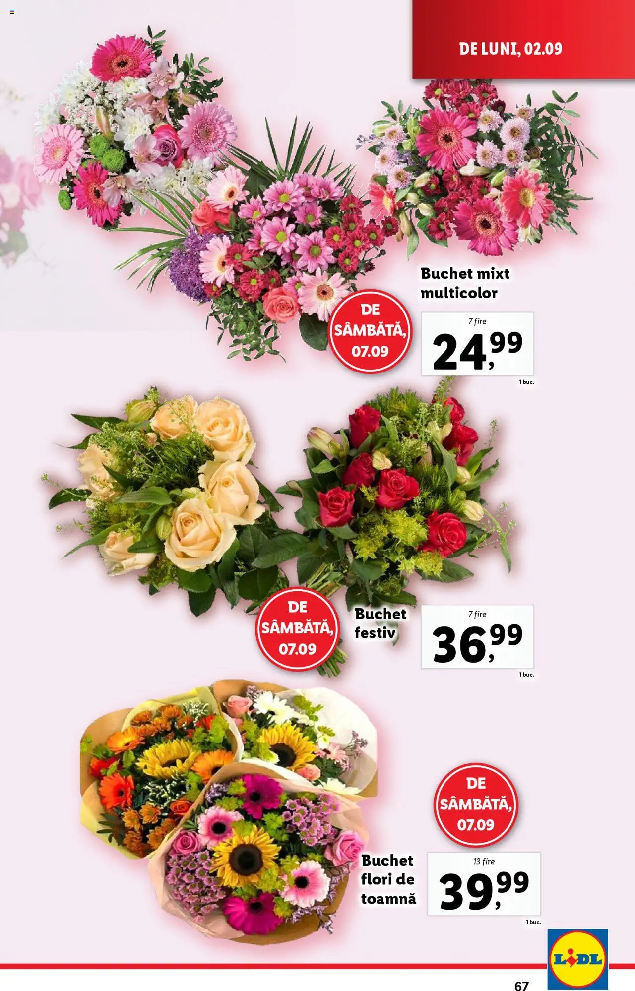 Catalog LIDL 2 - 8 Septembrie 2024 | Pagina 67