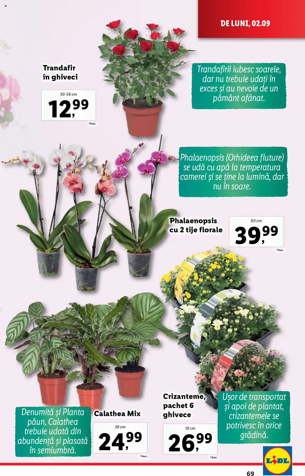 Catalog LIDL 2 - 8 Septembrie 2024 | Pagina 69