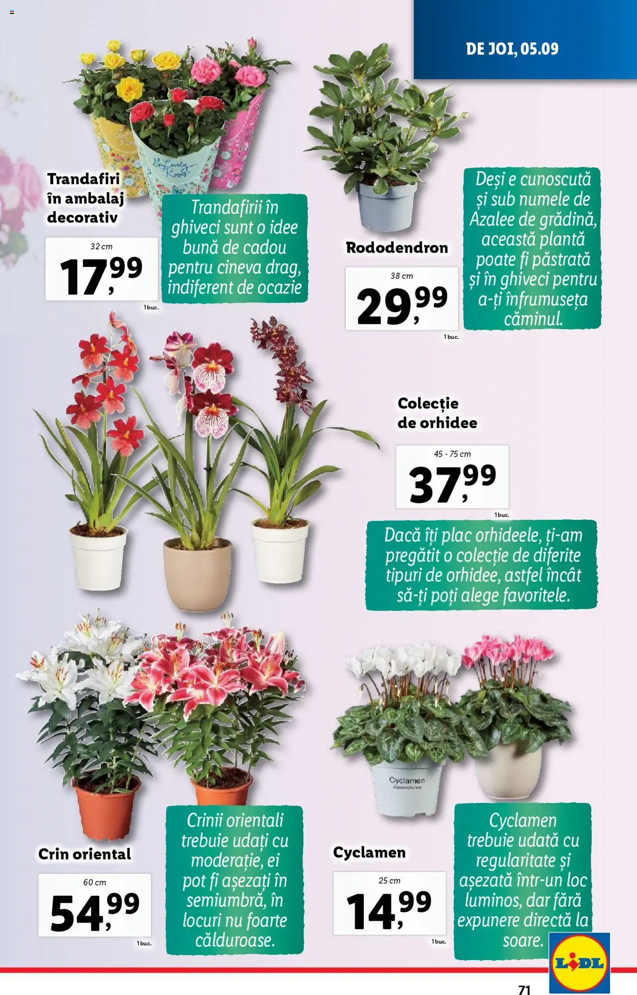 Catalog LIDL 2 - 8 Septembrie 2024 | Pagina 71