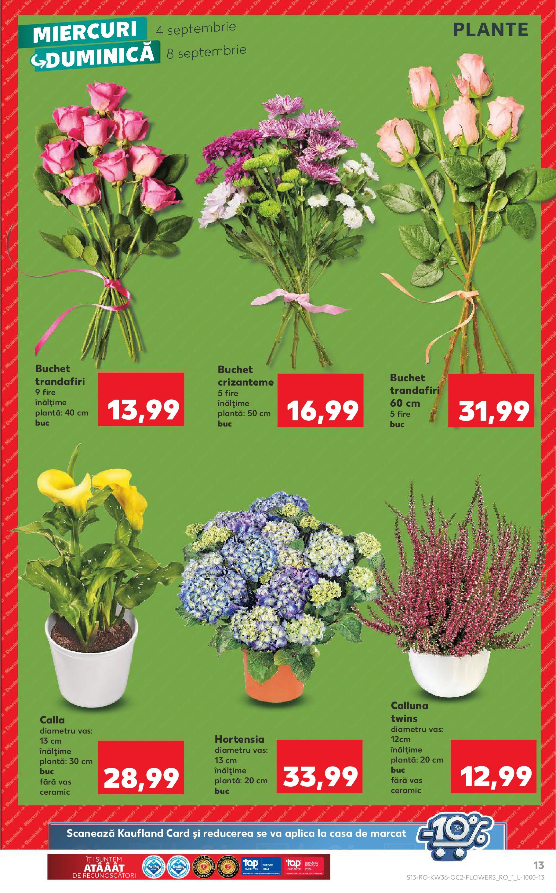 Catalog Kaufland 4 - 10 Septembrie 2024 | Pagina 13