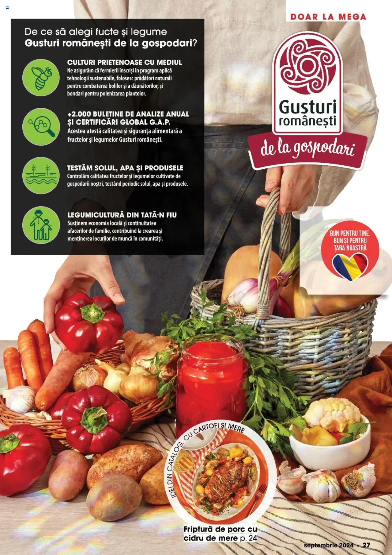 Catalog Mega Image 29 August - 24 Septembrie 2024 | Pagina 27