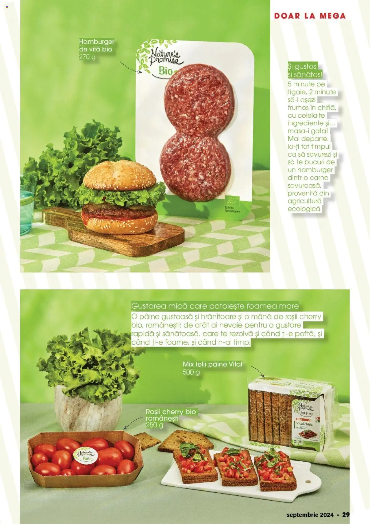 Catalog Mega Image 29 August - 24 Septembrie 2024 | Pagina 29