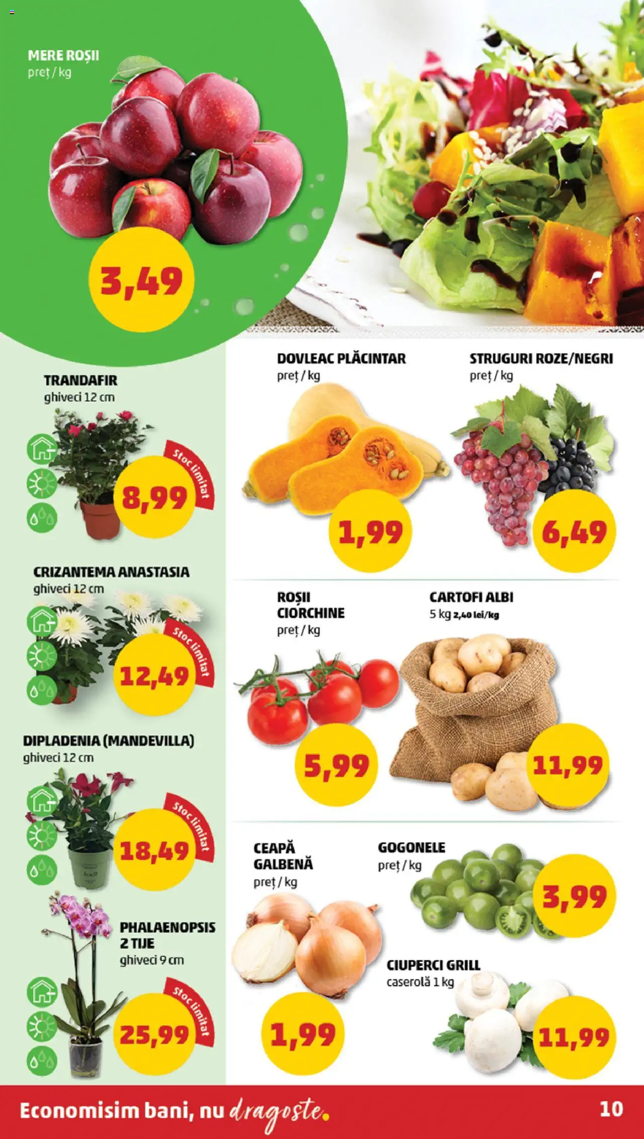 Catalog PENNY Market 4 - 10 Septembrie 2024 | Pagina 10