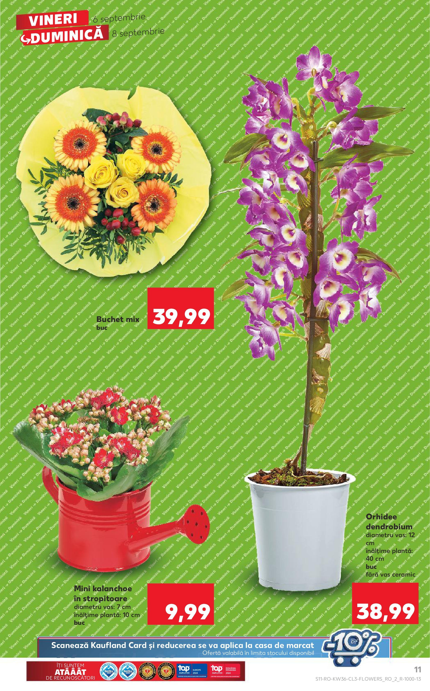 Catalog Kaufland 6 - 8 Septembrie 2024 | Pagina 11
