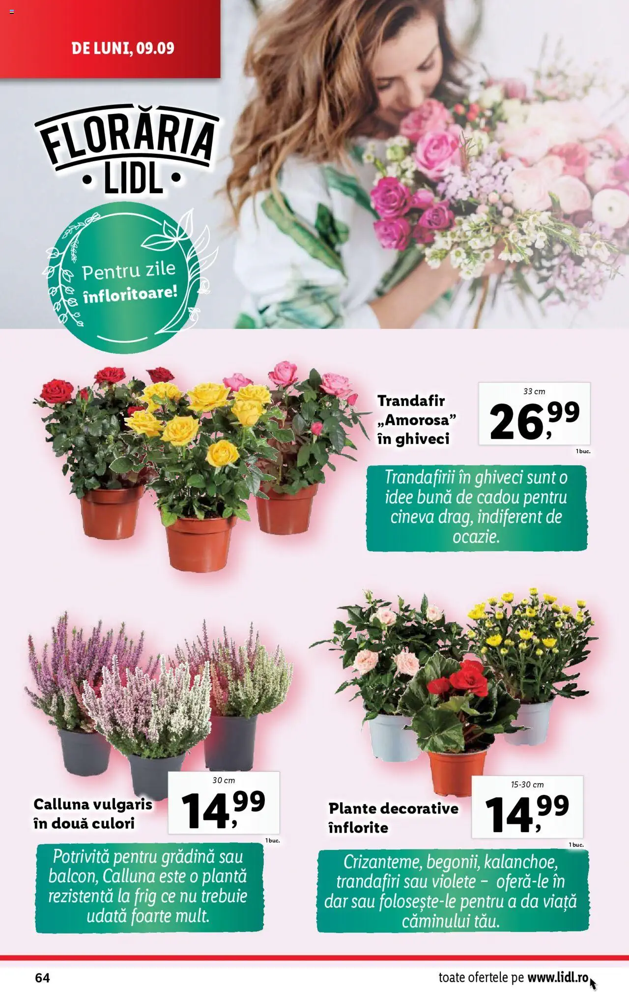 Catalog LIDL 9 - 15 Septembrie 2024 | Pagina 64