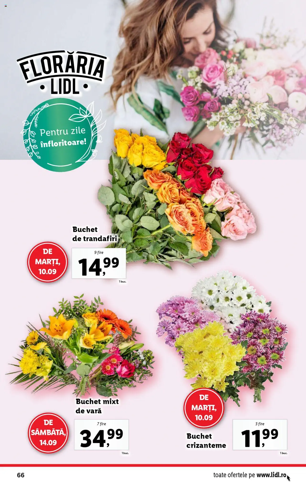 Catalog LIDL 9 - 15 Septembrie 2024 | Pagina 66