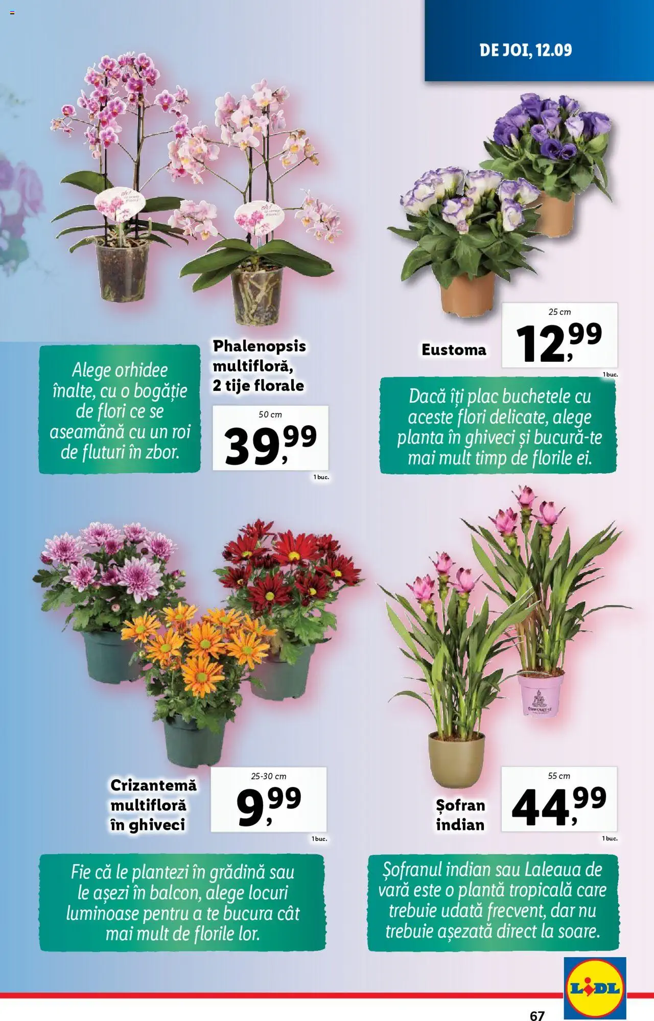 Catalog LIDL 9 - 15 Septembrie 2024 | Pagina 67