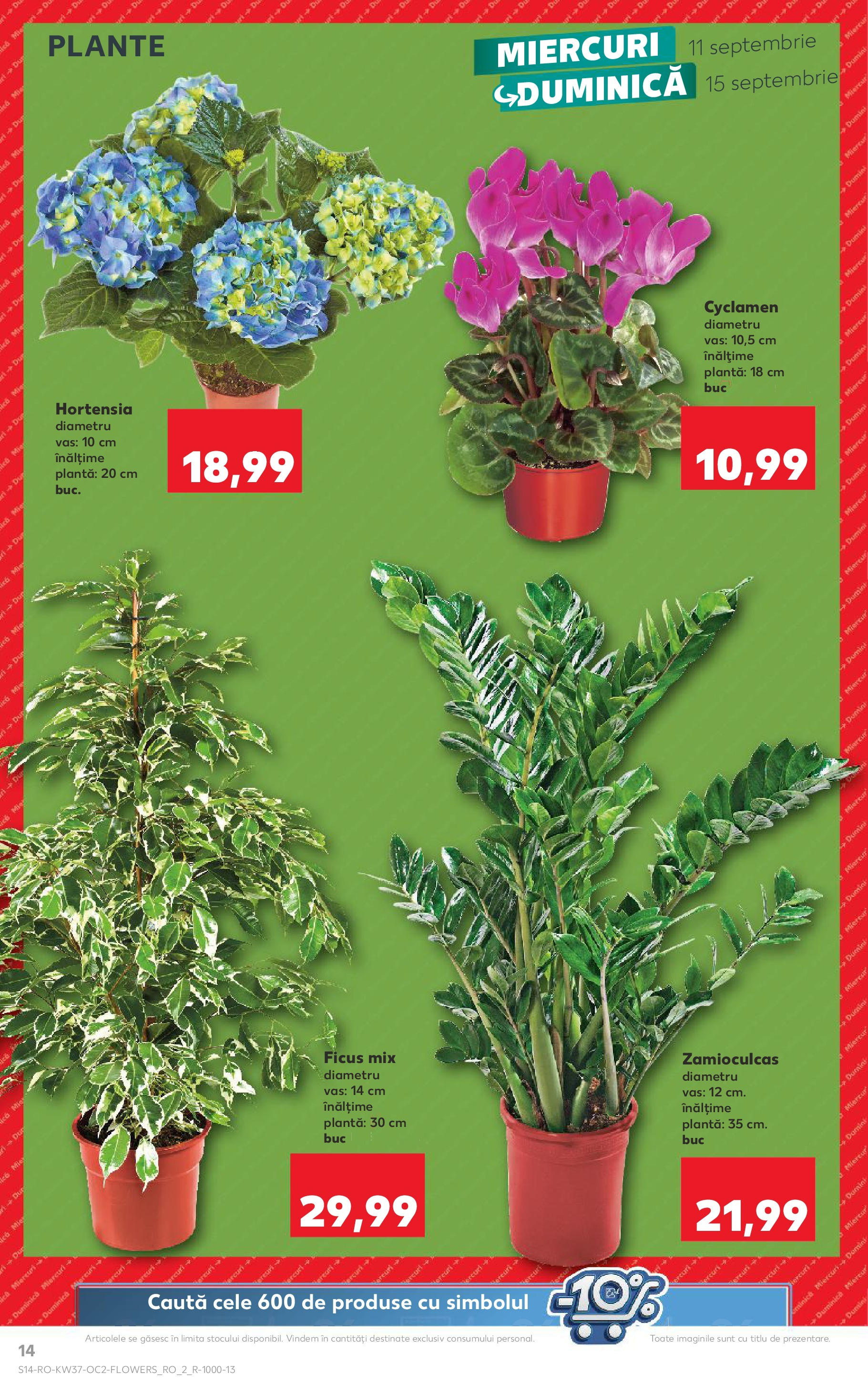 Catalog Kaufland 11 - 17 Septembrie 2024 | Pagina 14