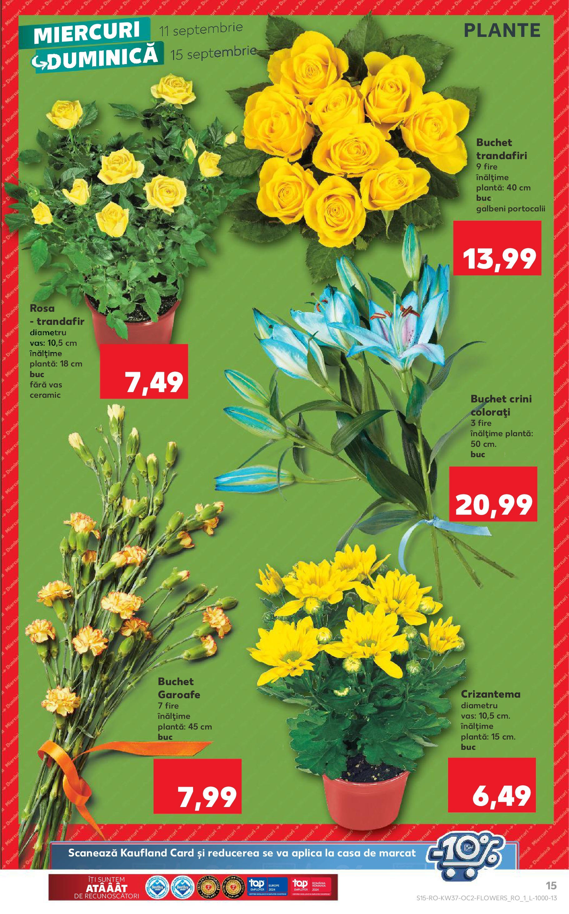 Catalog Kaufland 11 - 17 Septembrie 2024 | Pagina 15